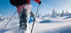 Schneeschuhwandern